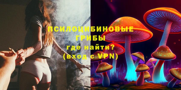 крисы Алексин