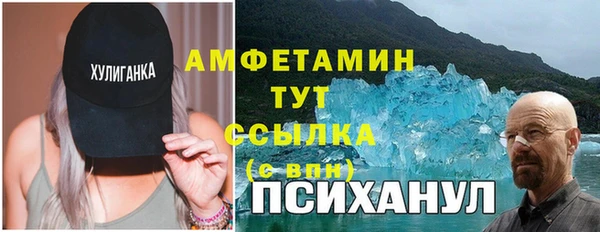 крисы Алексин